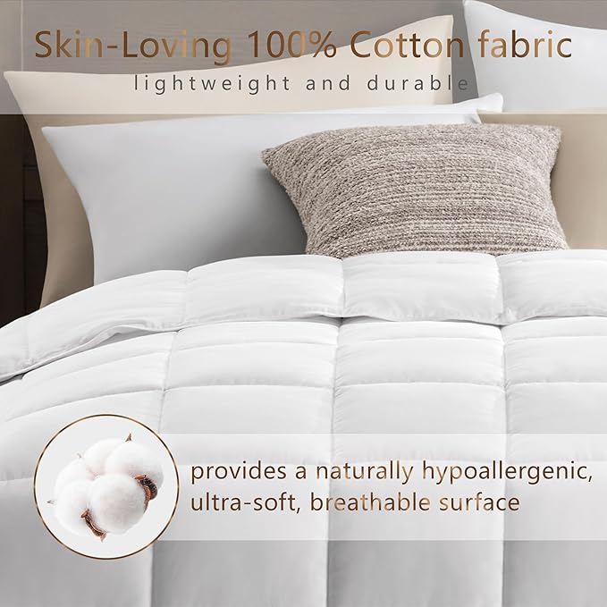 product-679-679